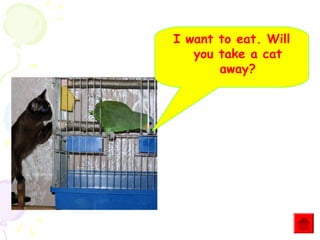I want to eat. Will
you take a cat
away?

 