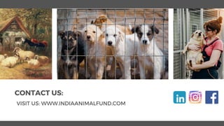 Future Trends and Innovations in CSR for ANimal Rights.pptx