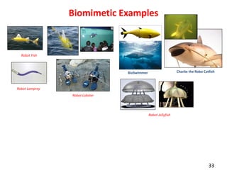 Biomimetic Examples

Robot Fish

Charlie the Robo Catfish

BioSwimmer

Robot Lamprey
Robot Lobster

Robot Jellyfish

33

 