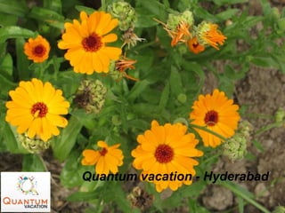 Quantum vacation - Hyderabad
 