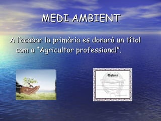 MEDI AMBIENT A l’acabar la primària es donarà un títol com a “Agricultor professional”. 