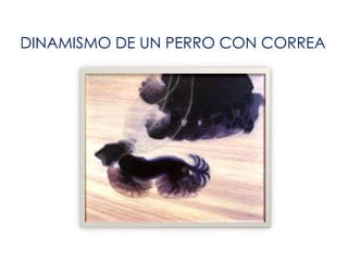 DINAMISMO DE UN PERRO CON CORREA
 