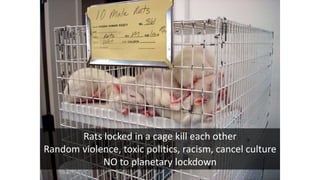 Rats locked in a cage kill each other
Random violence, toxic politics, racism, cancel culture
NO to planetary lockdown
 
