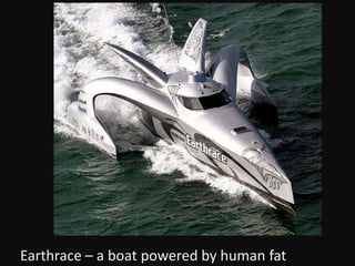 Earthrace – a boat powered by human fat