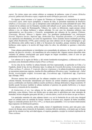 Grandes Ecosistemas de México y de Centro América                                               - 15 -




cujete). En ciertas zonas este estrato arbóreo se compone de palmeras, como el corozo (Scheelea
preussii), palma real (Oreodoxa regia), coquito de aceite (Orbignya guacoyul), etcétera.
    En algunas zonas cercanas a la Laguna de Términos en Campeche, es característica la especie
Crescentia cujete, entre cuyos ejemplares, a manera de islas, se presentan matorrales de Brabaisia
tubiflora y Conocarpus erecta, que se interpretan como indicadores de cierta salinidad del suelo. Otra
variante de las sabanas son los llamados zacatales (del náhuatl zacatl: pasto, hierba), como los que se
presentan en la región de Huimanguillo, Tabasco, los cuales se diferencian, según posean estrato
arbóreo o no, en sabana herbácea y sabana arbolada. En este caso los elementos arbóreos más
representativos son Byrsonima y Curatella, acompañados por arbustos de los géneros Clidemia,
Conostegia, Miconia, Mimosa y algunos otros. Las gramíneas predominantes son Andropogon
bicornis, Digitaria leucites, Imperata spp., Orthoclada laxa, Paspalum plicatulum y P. pectinatum.
Las ciperáceas son abundantes, así como las leguminosas. Estos zacatales fueron estudiados por Puig,
según refiere Rzedowsky (1978), quien concluye que estas sabanas son de origen antropógeno y que
las diferencias entre ambos tipos se debe a la frecuencia de incendios, porque mientras las sabanas
herbáceas están sujetas a la acción del fuego todos los años, las arboladas se queman a intervalos
mayores.
    Estas sabanas generalmente se interdigitan con comunidades de palmares, de Paurotis wrightii, de
encinas, de Quercus oleoides y de manchones de selva tropical alta. Algunos autores describen otras
variantes de sabanas concluyendo que quizá tengan un origen secundario, como el caso en que
predominan Enterolobium y Ceiba.
    Las sabanas de la región de Belice y del oriente hondureño-nicaragüense, a diferencia del resto,
presentan como dominante arbóreo al pino (Pinus caribaea).
    En las islas de las Antillas la sabana húmeda está bien representada, en particular en Cuba y La
Española, donde la hay de tres diferentes tipos: la sabana de Curatella-Byrsonima; la de pino-encino
(Pinus caribaea, P. cubensis, P. tropicalis, Quercus virginiana), y la sabana de palmeras, entre las que
se encuentran numerosas especies, muchas de ellas endémicas (Oreodoxa regia - la palma real -, Sabal
florida, Acoelorrhaphe wrightii, Acrocamia spp., Coccothrinax spp., Colpothrinax spp., Copernicia
spp.) (Knapp, 1965).
    Diversos autores han concluido que las sabanas compiten con las selvas en regiones de Tierra
caliente húmeda, favorecidas naturalmente por factores de control climático (periodos estacionales
secos), combinados con factores edáficos (suelos arcillosos y drenaje deficiente) y fuego recurrente. El
hombre puede favorecer también la sabana mediante el pastoreo de grandes herbívoros y la mayor
frecuencia y extensión de los incendios.
    d) Limitaciones al uso. Las sabanas de los suelos arcillosos (gley-vertisoles) son de drenaje
deficiente, como dijimos. Estos son fértiles pero no aptos para la agricultura por estar saturados de
humedad, incluso anegados gran parte del año, y volverse duros y secos en los meses en que no llueve.
    Los pastizales naturales de estas sabanas tienen a su vez la limitación de un ciclo muy desigual
tanto en calidad como en cantidad de forraje: durante el invierno seco, después de haber encañado,
bajan su contenido proteico de 8-10 a 3-5%, y se hacen poco palatables. A la vez tienen relativamente
baja respuesta a la fertilización química.
    Las sabanas sobre acrisoles, arriba citadas, tienen el impedimento inverso, pero más grave aún:
exceso de drenaje, poca retención de humedad y extrema falta de nutrientes, a tal punto que en buena
parte de las mismas no hay actividad alguna, ni siquiera ganadera, excepto la eventual explotación de
Pinus caribaea.



                                                        Jorge Morello. Profesor Doctor Emérito
                                                                   Universidad de Buenos Aires
 