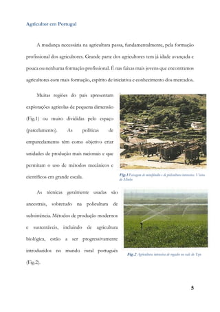 5
Agricultor em Portugal
A mudança necessária na agricultura passa, fundamentalmente, pela formação
profissional dos agricultores. Grande parte dos agricultores tem já idade avançada e
pouca ou nenhuma formação profissional. É nas faixas mais jovens que encontramos
agricultores com mais formação, espírito de iniciativa e conhecimento dos mercados.
Muitas regiões do país apresentam
explorações agrícolas de pequena dimensão
(Fig.1) ou muito divididas pelo espaço
(parcelamento). As políticas de
emparcelamento têm como objetivo criar
unidades de produção mais racionais e que
permitam o uso de métodos mecânicos e
científicos em grande escala.
As técnicas geralmente usadas são
ancestrais, sobretudo na policultura de
subsistência. Métodos de produção modernos
e sustentáveis, incluindo de agricultura
biológica, estão a ser progressivamente
introduzidos no mundo rural português
(Fig.2).
Fig.1 Paisagem de minifúndio e de policultura intensiva. Vieira
do Minho
Fig.2 Agricultura intensiva de regadio no vale do Tejo
 