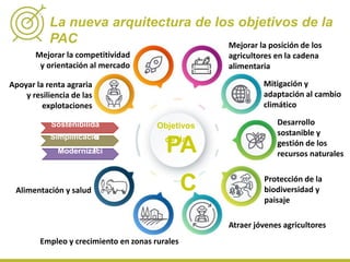 Mejorar la competitividad
y orientación al mercado
Apoyar la renta agraria
y resiliencia de las
explotaciones
Alimentación y salud
Empleo y crecimiento en zonas rurales
Atraer jóvenes agricultores
Protección de la
biodiversidad y
paisaje
Desarrollo
sostanible y
gestión de los
recursos naturales
Mitigación y
adaptación al cambio
climático
Mejorar la posición de los
agricultores en la cadena
alimentaria
PA
C
Objetivos
de la
La nueva arquitectura de los objetivos de la
PAC
Sostenibilida
dSimplificació
nModernizaci
ón
 