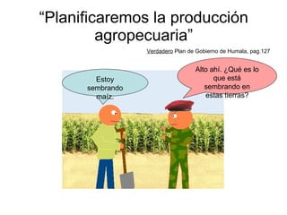 “ Planificaremos la producción agropecuaria” Verdadero  Plan de Gobierno de Humala, pag.127 Alto ahí. ¿Qué es lo que está sembrando en estas tierras? Estoy sembrando maíz. 