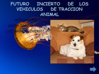 FUTURO INCIERTO DE LOS
VEHICULOS DE TRACCION
ANIMAL
INTEGRANTES
JANITH CLAVIJO
L UZ NANCY GONZALEZ
 