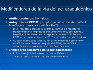 Modificadores de la vía del ac. araquidónico



Antileucotrienos: Montelukas
Antagonistas CRTH2 (receptor quimio atrayente-molécula
homóloga expresada en células Th-2)
• DP2 (receptor acoplado a la prot G, familia de receptores
transmembrana, expresado por Linfocitos Th2, eosinófilos y
basófilos) intervienen en la respuesta de estas células a la
PGD2 en el reclutamiento de lTH2 y la producción de citocinas
• OC000459 (vo cada12h), EC en asma moderada persistente
sin CI frente a placebo: mejoría del FEV1, de la CVRS,
síntomas nocturnos y recuento de Eo en esputo.



Inhibidores selectivos de la fosfodiesterasa
• Roflumilast (inhibidor selectivo de la PDE4)


EC en asma, no autorizado actualmente en asma.

 