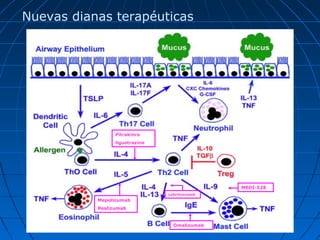 Nuevas dianas terapéuticas

Pitrakinra
ligustrazine

MEDI-528
Lebrikizumab

Mepolizumab
Reslizumab

Omalizumab

 