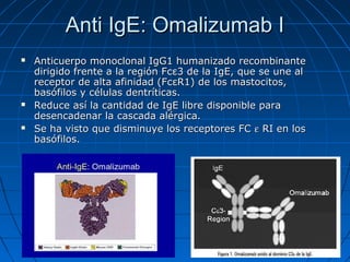 Anti IgE: Omalizumab I






Anticuerpo monoclonal IgG1 humanizado recombinante
dirigido frente a la región Fcε3 de la IgE, que se une al
receptor de alta afinidad (FcεR1) de los mastocitos,
basófilos y células dentríticas.
Reduce así la cantidad de IgE libre disponible para
desencadenar la cascada alérgica.
Se ha visto que disminuye los receptores FC ε RI en los
basófilos.

 