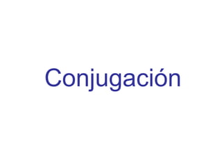 Conjugación