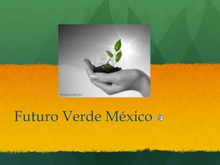 Futuro Verde México
 