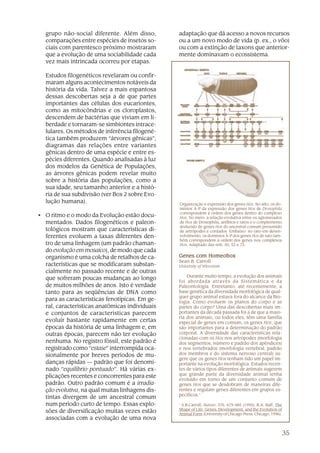 grupo não-social diferente. Além disso,        adaptação que dá acesso a novos recursos
  comparações entre espécies de insetos so-      ou a um novo modo de vida (p. ex., o vôo)
  ciais com parentesco próximo mostraram         ou com a extinção de taxons que anterior-
  que a evolução de uma sociabilidade cada       mente dominavam o ecossistema.
  vez mais intrincada ocorreu por etapas.

  Estudos filogenéticos revelaram ou confir-
  maram alguns acontecimentos notáveis da
  história da vida. Talvez a mais espantosa
  dessas descobertas seja a de que partes
  importantes das células dos eucariontes,
  como as mitocôndrias e os cloroplastos,
  descendem de bactérias que viviam em li-
  berdade e tornaram-se simbiontes intrace-
  lulares. Os métodos de inferência filogené-
  tica também produzem “árvores gênicas”,
  diagramas das relações entre variantes
  gênicas dentro de uma espécie e entre es-
  pécies diferentes. Quando analisadas à luz
  dos modelos da Genética de Populações,
  as árvores gênicas podem revelar muito
  sobre a história das populações, como a
  sua idade, seu tamanho anterior e a histó-
  ria de sua subdivisão (ver Box 2 sobre Evo-
  lução humana).                                 Organização e expressão dos genes Hox. No alto: os do-
                                                 mínios A-P da expressão dos genes Hox de Drosophila
                                                 correspondem à ordem dos genes dentro do complexo
• O ritmo e o modo da Evolução estão docu-       Hox. No meio: a relação evolutiva entre os aglomerados
  mentados. Dados filogenéticos e paleon-        de Hox de Drosophila, anfíbios e ratos e o complemento
                                                 deduzido de genes Hox do ancestral comum presumido
  tológicos mostram que características di-      de artrópodes e cordados. Embaixo: no rato em desen-
  ferentes evoluem a taxas diferentes den-       volvimento, os domínios A-P dos genes Hox de rato tam-
                                                 bém correspondem à ordem dos genes nos complexos
  tro de uma linhagem (um padrão chaman-         Hox. Adaptado das refs. 50, 52 e 75.
  do evolução em mosaico), de modo que cada
  organismo é uma colcha de retalhos de ca-      Genes com Homeobox
                                                 Sean B. Carroll
  racterísticas que se modificaram substan-      University of Wisconsin
  cialmente no passado recente e de outras
                                                     Durante muito tempo, a evolução dos animais
  que sofreram poucas mudanças ao longo
                                                 foi abordada através da Sistemática e da
  de muitos milhões de anos. Isto é verdade      Paleontologia. Entretanto, até recentemente, a
  tanto para as seqüências de DNA como           base genética da diversidade morfológica de qual-
                                                 quer grupo animal estava fora do alcance da Bio-
  para as características fenotípicas. Em ge-    logia. Como evoluem os planos do corpo e as
  ral, características anatômicas individuais    partes do corpo? Uma das descobertas mais im-
  e conjuntos de características parecem         portantes da década passada foi a de que a maio-
                                                 ria dos animais, ou todos eles, têm uma família
  evoluir bastante rapidamente em certas         especial de genes em comum, os genes Hox, que
  épocas da história de uma linhagem e, em       são importantes para a determinação do padrão
  outras épocas, parecem não ter evolução        corporal. A diversidade das características rela-
                                                 cionadas com os Hox nos artrópodes (morfologia
  nenhuma. No registro fóssil, este padrão é     dos segmentos, número e padrão dos apêndices)
  registrado como “estase” interrompida oca-     e nos vertebrados (morfologia vertebral, padrão
  sionalmente por breves períodos de mu-         dos membros e do sistema nervoso central) su-
                                                 gere que os genes Hox tenham tido um papel im-
  danças rápidas — padrão que foi denomi-        portante na evolução morfológica. Estudos recen-
  nado “equilíbrio pontuado”. Há várias ex-      tes de vários tipos diferentes de animais sugerem
                                                 que grande parte da diversidade animal tenha
  plicações recentes e concorrentes para este
                                                 evoluído em torno de um conjunto comum de
  padrão. Outro padrão comum é a irradia-        genes Hox que se desdobram de maneiras dife-
  ção evolutiva, na qual muitas linhagens dis-   rentes e regulam genes diferentes em grupos es-
                                                 pecíficos.1
  tintas divergem de um ancestral comum
  num período curto de tempo. Essas explo-       1
                                                  S.B.Carroll, Nature, 376: 479-485 (1995); R.A. Raff, The
                                                 Shape of Life: Genes, Development, and the Evolution of
  sões de diversificação muitas vezes estão      Animal Form (University of Chicago Press, Chicago, 1996).
  associadas com a evolução de uma nova

                                                                                                             35
 
