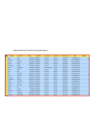 Luego procedemos a llenarla y nos quedara algo así
