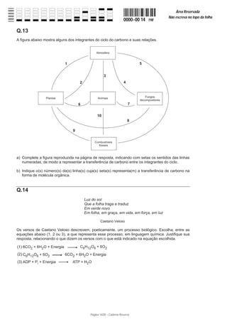 Página 14/20 − Caderno Reserva
0000−00 14 198
Área Reservada
Não escreva no topo da folha
Q.13
A figura abaixo mostra alguns dos integrantes do ciclo do carbono e suas relações.
a) Complete a figura reproduzida na página de resposta, indicando com setas os sentidos das linhas
numeradas, de modo a representar a transferência de carbono entre os integrantes do ciclo.
b) Indique o(s) número(s) da(s) linha(s) cuja(s) seta(s) representa(m) a transferência de carbono na
forma de molécula orgânica.
Q.14
Luz do sol
Que a folha traga e traduz
Em verde novo
Em folha, em graça, em vida, em força, em luz
Caetano Veloso
Os versos de Caetano Veloso descrevem, poeticamente, um processo biológico. Escolha, entre as
equações abaixo (1, 2 ou 3), a que representa esse processo, em linguagem química. Justifique sua
resposta, relacionando o que dizem os versos com o que está indicado na equação escolhida.
 