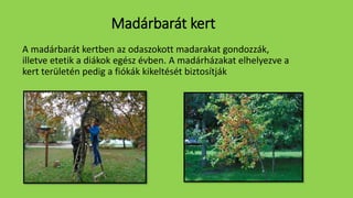 Madárbarát kert
A madárbarát kertben az odaszokott madarakat gondozzák,
illetve etetik a diákok egész évben. A madárházakat elhelyezve a
kert területén pedig a fiókák kikeltését biztosítják
 