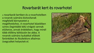 Rovarbarát kert ès rovarhotel
A rovarbarát kertben és a rovarhotelben
a rovarok számára biztosítanak
megfelelő környezetet a
megélhetéshez. A rovarhotel közelében
színes (leginkább kék) virágok vannak
elültetve, annak érdekében, hogy minél
több élőlény költözzön be abba. A
rovarok számára lyukakkal ellátott
farönköket és fészkelésre alkalmas
üvegcséket helyeztek el.
 