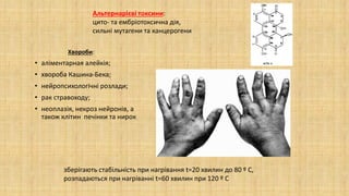 • аліментарная алейкія;
• хвороба Кашина-Бека;
• нейропсихологічні розлади;
• рак стравоходу;
• неоплазія, некроз нейронів, а
також клітин печінки та нирок
Альтернарієві токсини:
цито- та ембріотоксична дія,
сильні мутагени та канцерогени
Хвороби:
зберігають стабільність при нагрівання t=20 хвилин до 80 º С,
розпадаються при нагріванні t=60 хвилин при 120 º С