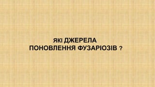 ЯКІ ДЖЕРЕЛА
ПОНОВЛЕННЯ ФУЗАРІОЗІВ ?