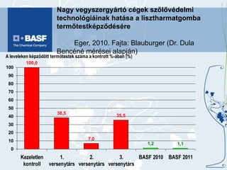 Nagy vegyszergyártó cégek szőlővédelmi technológiáinak hatása a lisztharmatgomba termőtestképződésére  Eger, 2010. Fajta: Blauburger (Dr. Dula Bencéné mérései alapján) 