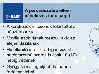 A peronoszpóra elleni védekezés tanulságai A kórokozók nincsenek tekintettel a pénztárcánkra  Mindig azok járnak rosszul, akik az elején „lazítanak” Ha állandóan esik, a leghosszabb hatástartamú szerek is csak 10-(12) napig védenek Gyógyítani a legföljebb kétnapos fertőzést lehet A betegség lappangási ideje levélen és fürtön eltér A részleges védelem is jobb, mint a semmilyen (nedves felületre vagy esőben permetezés, minden második sor permetezése, helikopter stb.) Sárban a függesztett permetezőgépek előnyösebbek Sörétnyi bogyóállapot után a kontakt szerek jobbak 