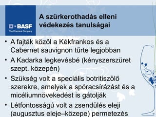 A szürkerothadás elleni védekezés tanulságai A fajták közöl a Kékfrankos és a Cabernet sauvignon tűrte legjobban  A Kadarka legkevésbé (kényszerszüret szept. közepén) Szükség volt a speciális botritiszölő szerekre, amelyek a spóracsírázást és a micéliumnövekedést is gátolják Létfontosságú volt a zsendülés eleji (augusztus eleje–közepe) permetezés Különösen jól szerepelt a Cantus (hosszú tartamhatás) A kényszerszüretek miatt az é.v.i. betartásával gondok voltak (folpet = 30 nap) Szeptemberben szükség volt még egy beavatkozásra 