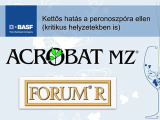 Kettős hatás a peronoszpóra ellen (kritikus helyzetekben is) 