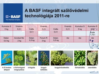 A BASF integrált szőlővédelmi technológiája 2011-re Kumulus S 5 kg Vivando 0,2 l Collis 0,4 l Vivando 0,2 l Collis 0,4 l Vivando 0,2 l Kumulus S 5 kg Kumulus S 5 kg Scala  1,75 l Delan  0,5 kg Acrobat Mz 2 kg Delan  0,5 kg Forum R 3 kg Delan  0,5 kg réz réz réz 