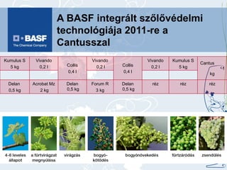 A BASF integrált szőlővédelmi technológiája 2011-re a Cantusszal Kumulus S 5 kg Vivando 0,2 l Collis 0,4 l Vivando 0,2 l Collis 0,4 l Vivando 0,2 l Kumulus S 5 kg Cantus  1 kg Delan  0,5 kg Acrobat Mz 2 kg Delan  0,5 kg Forum R 3 kg Delan  0,5 kg réz réz réz 