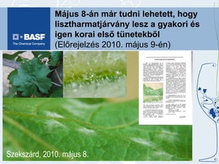 Május 8-án már tudni lehetett, hogy lisztharmatjárvány lesz a gyakori és igen korai első tünetekből  (Előrejelzés 2010. május 9-én) Szekszárd, 2010. május 8. 