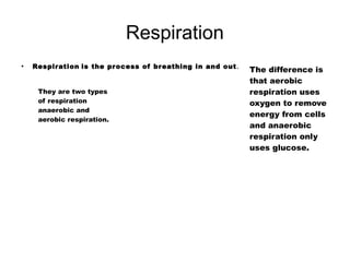 Respiration
●
Respiration is the process of breathing in and out.
The difference is
that aerobic
respiration uses
oxygen to remove
energy from cells
and anaerobic
respiration only
uses glucose.
They are two types
of respiration
anaerobic and
aerobic respiration.
 