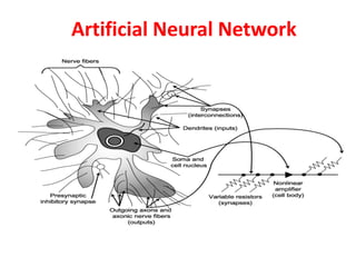 Artificial Neural Network
 