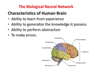 The Biological Neural Network
Characteristics of Human Brain
• Ability to learn from experience
• Ability to generalize the knowledge it possess
• Ability to perform abstraction
• To make errors.
 