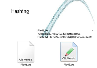 Hashing File01.txt - 70bc1de8a077e52493d9c41ffaa3c051 File02.txt - 8cbd72cbd9f5387818054ffa5ae241fb File02.txt Olá Mundo File01.txt Ola Mundo 