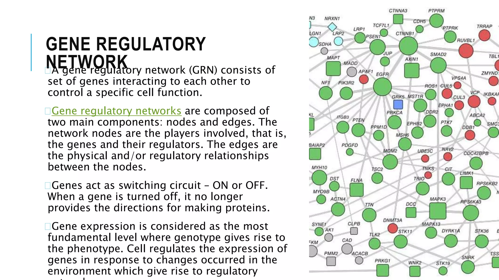 GENE REGULATORY
NETWORK�A gene regulatory network (GRN) consists of
set of genes interacting to each other to
control a specific cell function.
�Gene regulatory networks are composed of
two main components: nodes and edges. The
network nodes are the players involved, that is,
the genes and their regulators. The edges are
the physical and/or regulatory relationships
between the nodes.
�Genes act as switching circuit – ON or OFF.
When a gene is turned off, it no longer
provides the directions for making proteins.
�Gene expression is considered as the most
fundamental level where genotype gives rise to
the phenotype. Cell regulates the expression of
genes in response to changes occurred in the
environment which give rise to regulatory
 