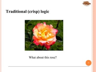 Traditional (crisp) logic
What about this rose?
7
 