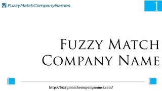 Fuzzy match company name