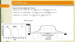 Fuzzy Membership Function 