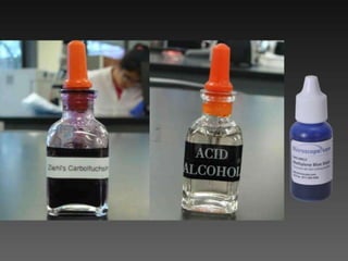 Cutaneous Tuberculosis