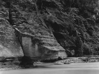 Cutaneous Tuberculosis