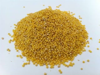 Cutaneous Tuberculosis