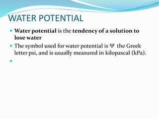 WATER POTENTIAL
 Water potential is the tendency of a solution to
lose water
 The symbol used for water potential is Ψ the Greek
letter psi, and is usually measured in kilopascal (kPa).

 