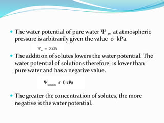  The water potential of pure water Ψ w at atmospheric
pressure is arbitrarily given the value 0 kPa.
 The addition of solutes lowers the water potential. The
water potential of solutions therefore, is lower than
pure water and has a negative value.
 The greater the concentration of solutes, the more
negative is the water potential.
 