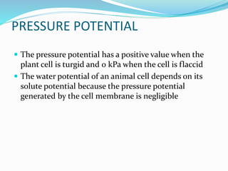 PRESSURE POTENTIAL
 The pressure potential has a positive value when the
plant cell is turgid and 0 kPa when the cell is flaccid
 The water potential of an animal cell depends on its
solute potential because the pressure potential
generated by the cell membrane is negligible
 