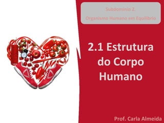 2.1 Estrutura
do Corpo
Humano
Subdomínio 2.
Organismo Humano em Equilíbrio
Prof. Carla Almeida
 
