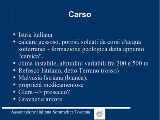 Carso Istria italiana calcare gessoso, porosi, solcati da corsi d'acqua sotterranei - formazione geologica detta appunto "carsica".  clima instabile, altitudini variabili fra 200 e 500 m Refosco Istriano, detto Terrano (rosso) Malvasia Istriana (bianca).  proprietà medicamentose Glera --> prosecco? Gravner e anfore 