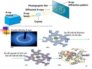 Photographic film
Diffracted X-rays
X-ray
source
X-ray
beam
X-ray
diffraction pattern
Crystal
Crystal diffracts X-rays
Sơ đồ mật độ Electron
khít với dữ liệu
Sơ đồ nguyên tử khít với
bản đồ mật độ điện tử model
12
 