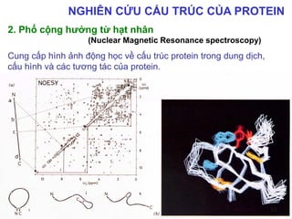 NGHIÊN CỨU CẤU TRÚC CỦA PROTEIN
2. Phổ cộng hưởng từ hạt nhân
(Nuclear Magnetic Resonance spectroscopy)
Cung cấp hình ảnh động học về cấu trúc protein trong dung dịch,
cấu hình và các tương tác của protein.
13
 